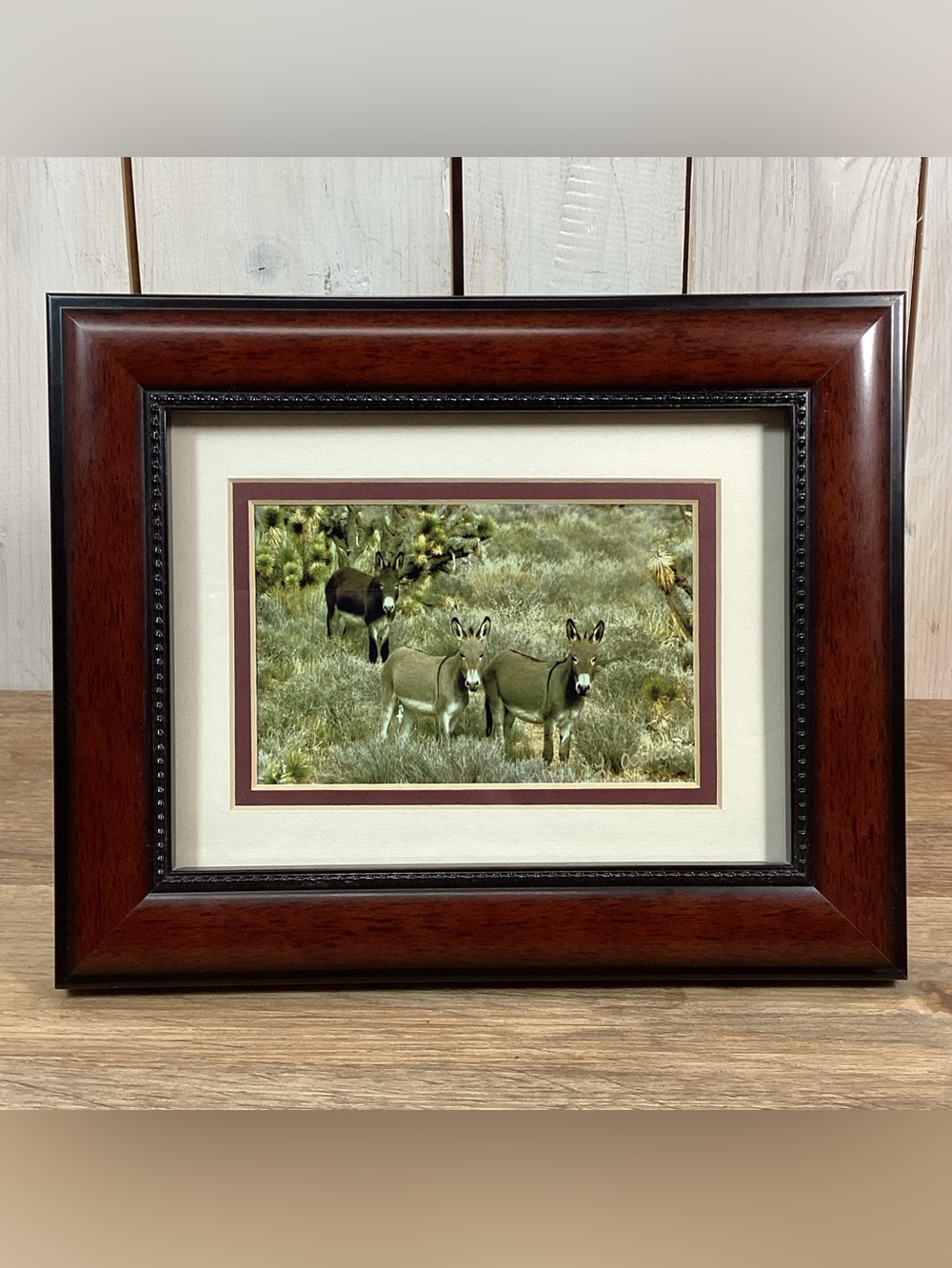 Framed Art Photo Wild Burros, Donkey